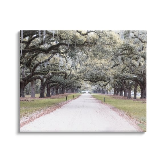 Stupell Industries Tree Grove Path Photography Landscape Photography Gallery Wrapped Canvas Art Print Wall Art, 20 x 16