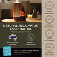 thumbnail image 5 of Gya Labs Eucalyptus Essential Oil with Aromatherapy Stone - Pure Australian Fresh Scent for Diffuser, Skincare, Hair Care & DIY - 4 fl oz, 5 of 6