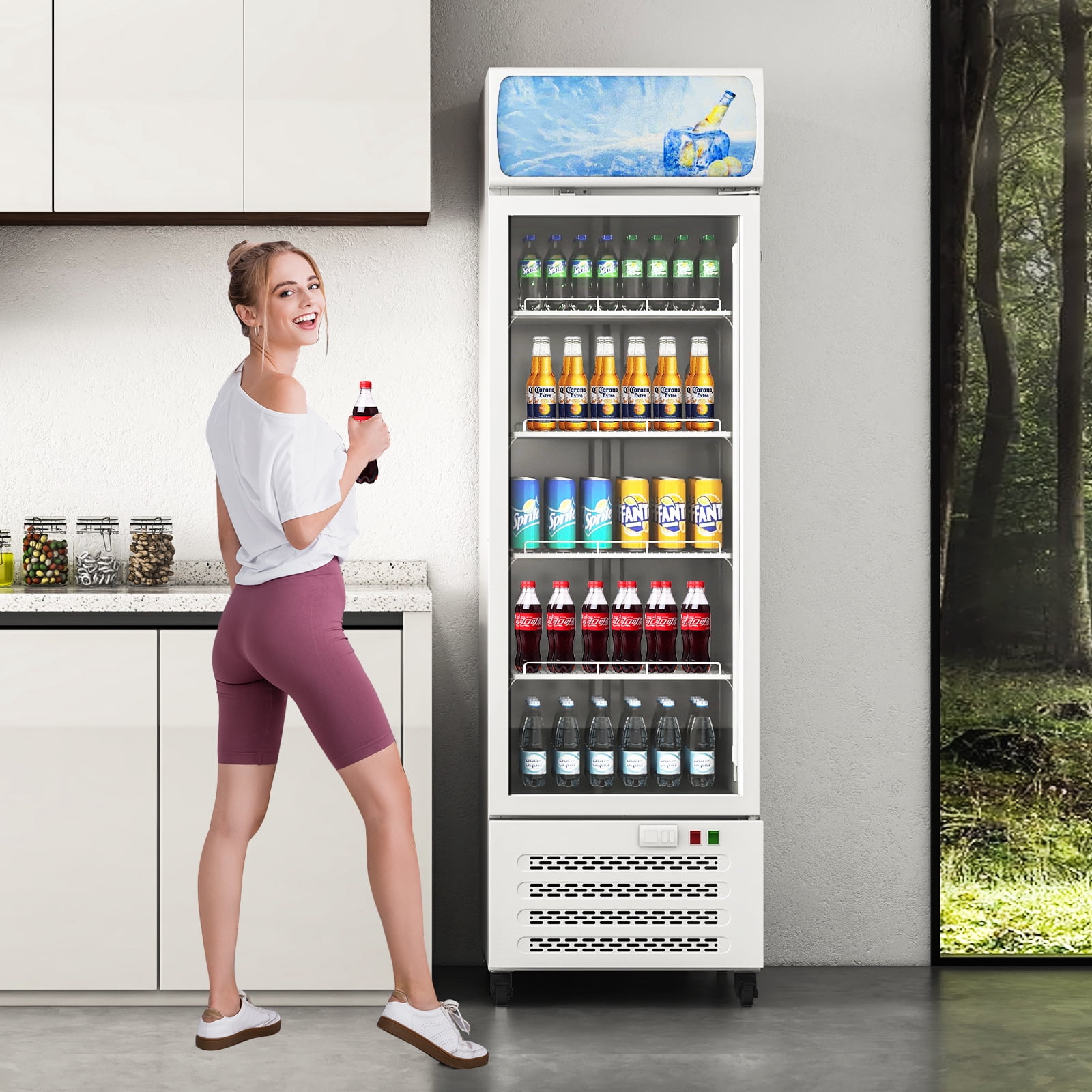 Commercial Beverage Refrigerator, 22 Inch 11.3 Cu. Ft. Drink Fridge, Display Refrigerator with Glass Door, Commercial Display Fridge with 4 Adjustable Shelves, for Shops, Restaurants, Bars
