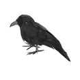 thumbnail image 6 of Darzheoy 3Pcs Halloween Black Crows, Halloween Realistic Black Feather Crows Halloween Party Outdoor Decorations Birds Prop, 6 of 9