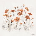thumbnail image 3 of Gango Home Decor Shabby-Chic Wildflowers II & III Orange by Lisa Audit (Ready to Hang); Two 12x12in Black Framed Prints, 3 of 5