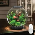 thumbnail image 3 of biOrb CLASSIC 30 Aquarium with MCR Light - 8 Gallon, Silver, 3 of 9