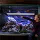 thumbnail image 3 of Advancent Timing Goldfish Lamp Aquarium Light con luz de buceo con control remoto Iluminación novedosa No. 4 Advancent HA026919-04, 3 of 6