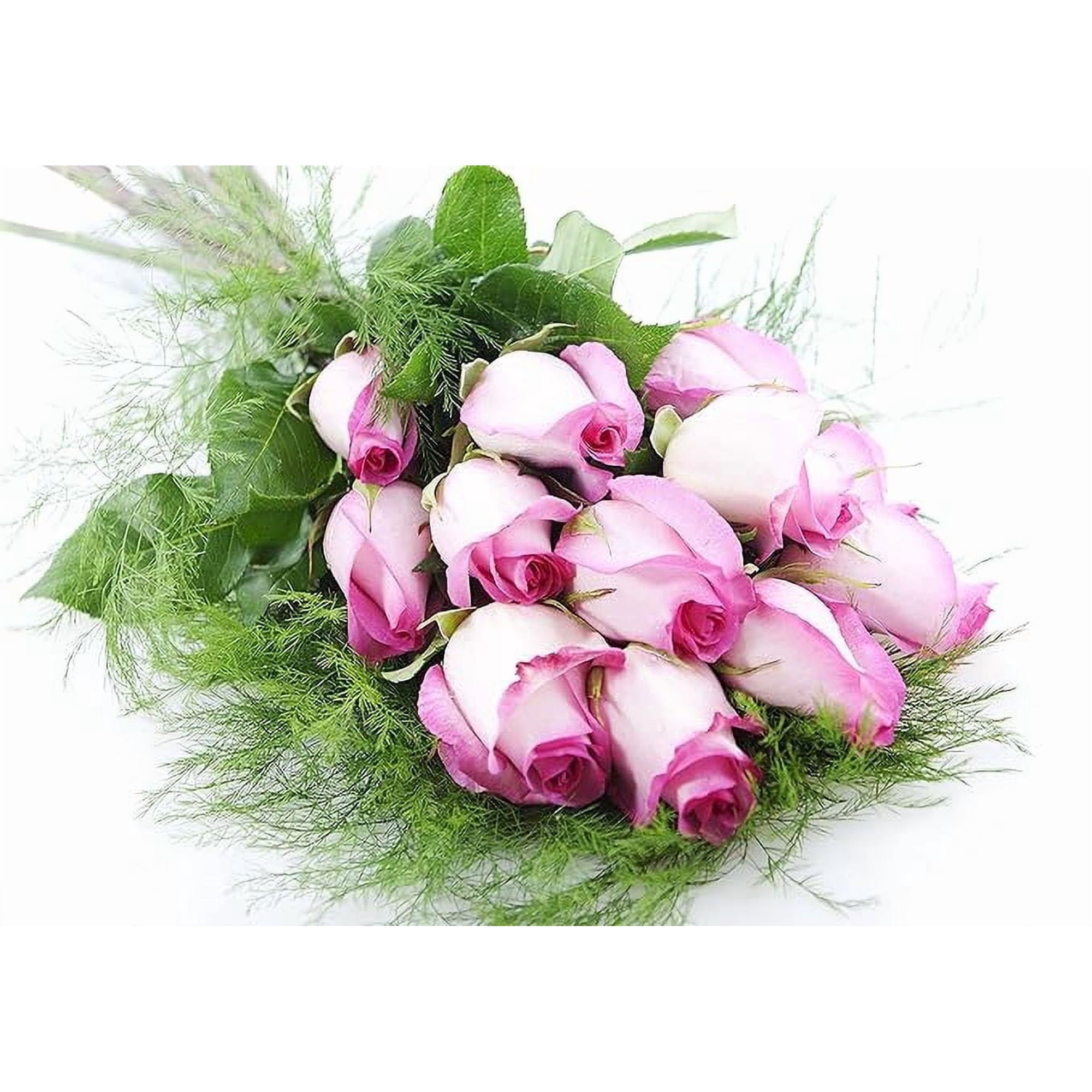 KaBloom: Fall Collection-Bouquet of 12 Pink Roses and 3 Pine greens,Next-Day Delivery, Gift of Fresh Flowers for Every Occasion.