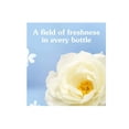 thumbnail image 4 of Suavitel Liquid Fabric Softener, Field Flowers, 46 oz (Pack Of 4), 4 of 9