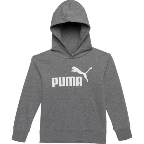 PUMA Little Boys Logo Fleece Hoodie, Charcoal Gray, 5