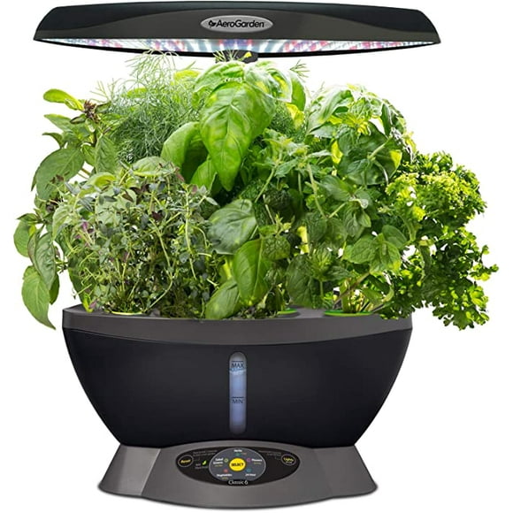 AeroGarden Classic 6 avec Kit de Graines d'Herbes Gourmet