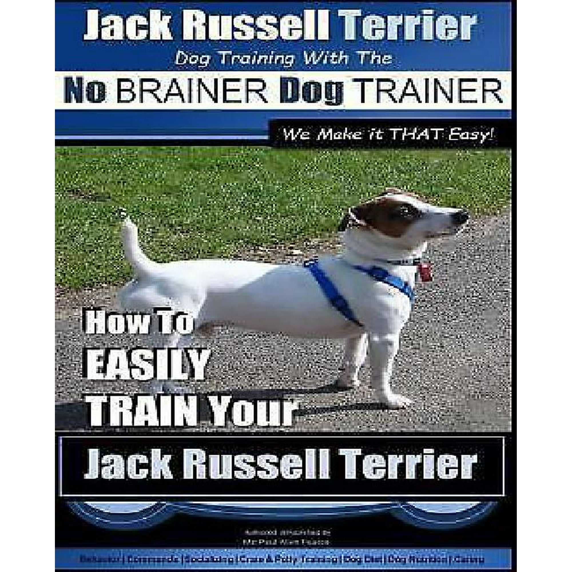 How Do You Train A Jack Russell Terrier