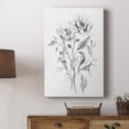 thumbnail image 5 of Wild Roses Sketch Premium Gallery Wrapped Canvas - Ready to Hang, 5 of 9