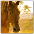 thumbnail image 1 of Picture-Tiles.com: Horse Ceramic Tile Wall Mural WAL500754-44M. 24"W x 24"H using (16) 6" x 6" Ceramic Tiles-Satin Finish, 1 of 3