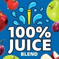 thumbnail image 4 of Capri Sun 100% Juice Fruit Punch Flavored All-Natural Juice Blend from Concentrate with added ingredients and other natural flavors, 10 ct Box, 6 fl oz Pouches, 4 of 16
