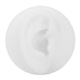 thumbnail image 3 of Noref Modèle d'Acupuncture d'Oreille Multifonctionnel en Silicone, Modèle Réutilisable de Pratique d'Acupuncture d'Oreille, Modèle d'Affichage d'Oreille Simulé, Santé, 3 of 8