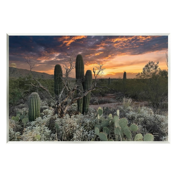 Stupell Industries Arid Desert Cactus Sunset Photograph Unframed Art Print Wall Art, Design by Nathan Larson
