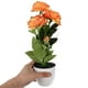thumbnail image 4 of MERRYHAPY Bonsái Artificial De Peonía Para De En Hogar Oficina Y Tienda, 4 of 8