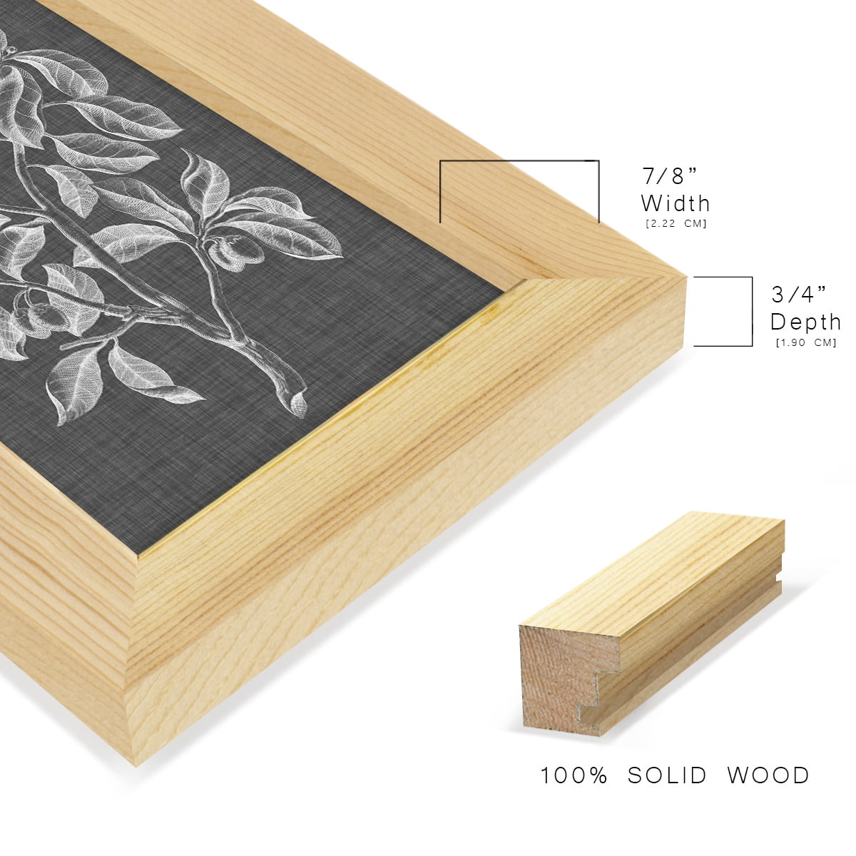 Graphic Foliage I - Framed Print w/glass - Natural Wood