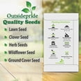thumbnail image 4 of Drought Tolerant Love Grass Eragrostis Spectabilis Ornamental Grass Seed - 1000 Seeds, 4 of 6