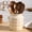 Daisy, variant on Ceramic Farmhouse Kitchen Utensil Holder for Countertop, Rustic Cooking Utensil Holder Crock Fit for Kitchen Counter