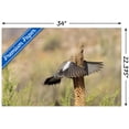 thumbnail image 3 of The Comedy Wildlife Photography Awards: Wendy Kaveney - That Wasn't Here Yesterday Wall Poster, 22.375" x 34", 3 of 4
