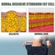 thumbnail image 4 of 6pcs Crema de Masaje Reductora Moldeadora Corporal Ajenjo 30g, 4 of 5