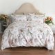 thumbnail image 1 of Juego de cama de 4 piezas Celine By St. Geneve, 1 of 5