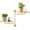 Oval-2-Tiered-Gold, variant on Rotating Window Wall Plant Shelves Stand Holder, 3 Tiered Metal Floating Plant Shelf Hanger Indoor , Window Sill Gifts