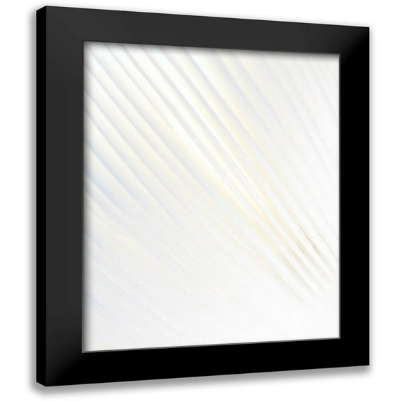 Straatsma, Leah 12x14 Black Modern Framed Museum Art Print Titled - Alabaster Mushroom 1