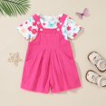 thumbnail image 3 of ZOEREA Toddler Girl Clothes, 2Pcs Baby Girl Outfits Spring/Summer Stripe/Floral T-Shirt+Bib Overall Shorts Clothing Set 1-5T, 3 of 8
