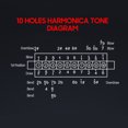 thumbnail image 4 of Harmónica Irfora Armónica Diatonic Blues Harmonica Key of C, 10 agujeros 20 tonos Blues Harp Boca Organo Armónica Carcasa de acero inoxidable para niños Adultos y principiantes Irfora Harmónica, 4 of 7