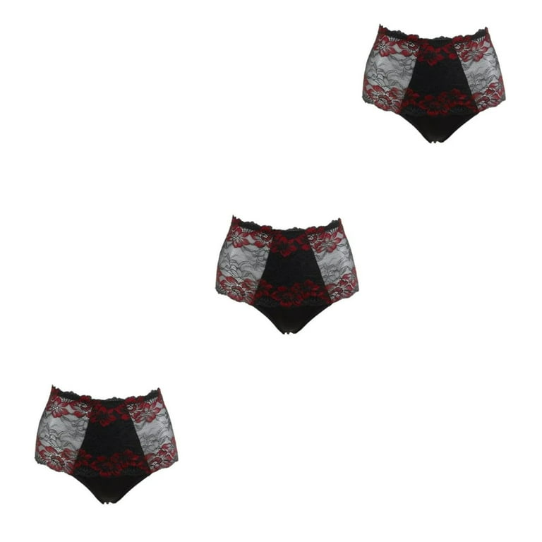 Rhonda Shear 3-pack Brief Panty with Lace Trim – goSASS