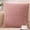 Pink, variant on Furry Velvet Pillow Set for Living Room, Office Sofa Cushions, Soft Lumbar Backrest Pillow for Comfort