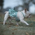 thumbnail image 4 of Chien Bowknot Robe Fleur: Coton Chiot Princesse Robe pour Animaux de Compagnie Vêtements pour l'Été, 4 of 7