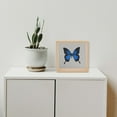 thumbnail image 3 of OULII Frame for Flowers Acrylic Natural Color 1Pcs Decoration Office Decor for Hobbyists, 3 of 8
