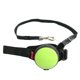 thumbnail image 1 of Hands-free Retractable Dog Leash Wrist Belt Strap Hands-free Leash For Dogs Cat TAO, 1 of 4