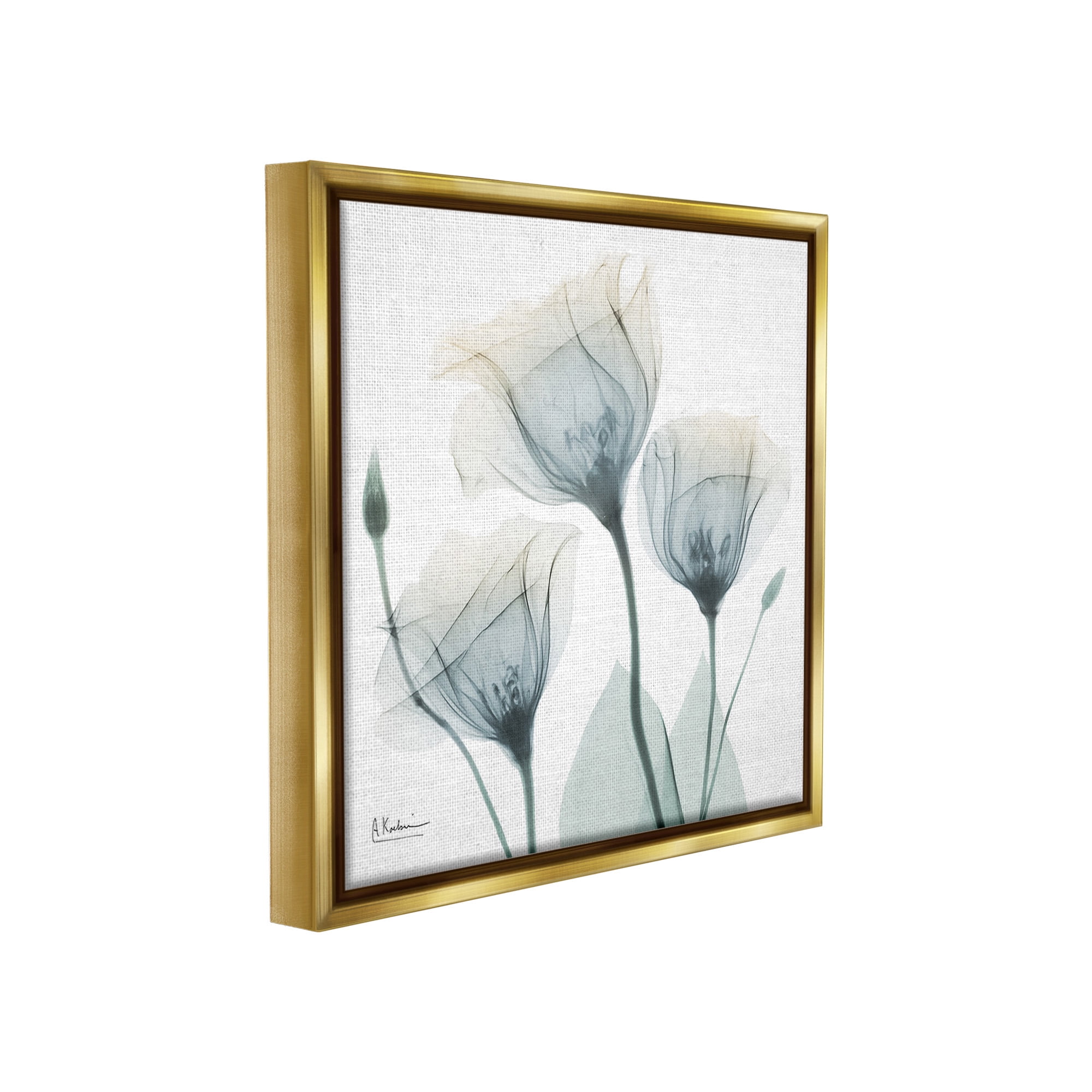 Stupell Industries Soft Opaque Tulips Botanical & Floral Photography Gold Floater Framed Canvas Art Print Wall Art, 25 x 25