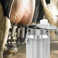 thumbnail image 4 of Sinyiin Premium Stainless Steel 10L Milking Pail For Dairy Animals Heat Resistant Easy to Clean Accessories, 4 of 9
