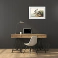 thumbnail image 3 of Audubon, John James 24x18 White Modern Wood Framed Museum Art Print Titled - Bartram Sandpiper, 3 of 4