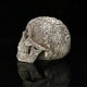 thumbnail image 3 of Bearachild Decoración de calavera Retro, modelo de cabeza de resina de dinosaurio, réplica de esqueleto, colección de figuritas, decoración de Halloween Decoración Bearachild HA011432-00B, 3 of 6