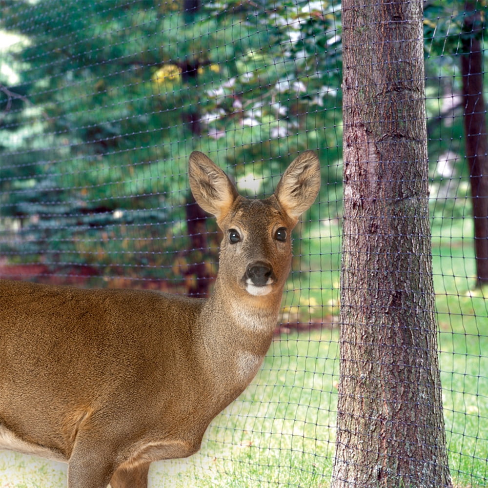 YARDGARD 7 Foot by 100 Foot Black Folded Deer & Bird Netting