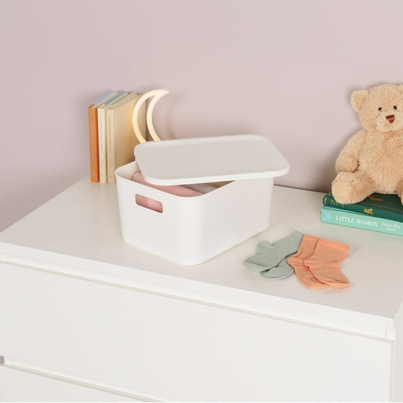 Neatfreak Kids Medium Lidded Storage Box