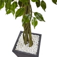 thumbnail image 4 of 6.5’ Ficus Artificial Tree with Slate Planter, UV Resistant (Indoor/Outdoor), 4 of 6