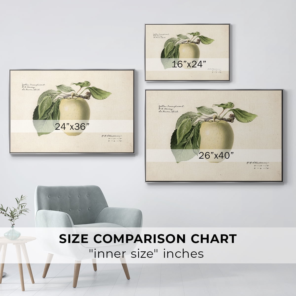 Vintage Botanical Print-XLV By Wexford Home Framed in Silver Wood Gallery Wrapped Canvas 17 in. x 25 in.