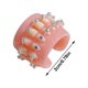 thumbnail image 2 of Nuevo diseño de tirantes de nicho bonitos dientes pequeños de resina estilo de pareja masculina y femenina para mujeres diámetro interior de aproximadamente 17mm ANGGREK Otros, 2 of 8