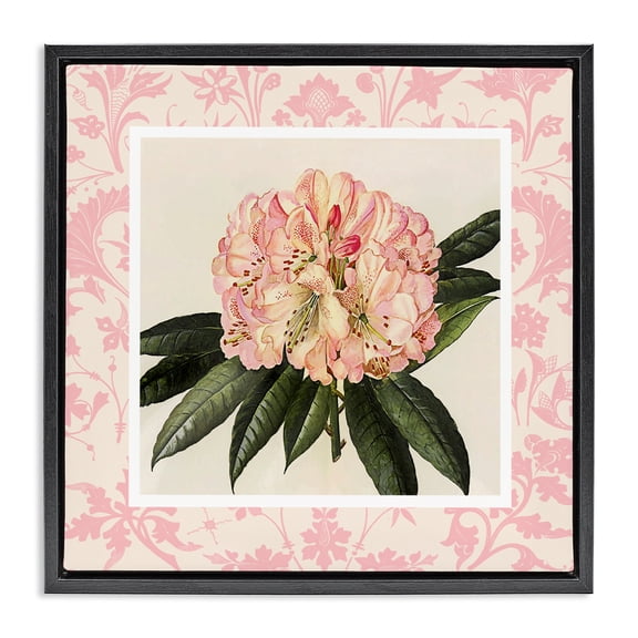 Stupell Industries Pink Pattern Botanical Black Framed Floater Canvas Wall Art, design by Livi Finn
