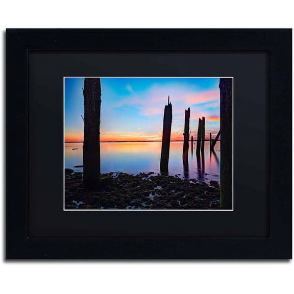 Trademark Fine Art "Jamaica Bay Sunset - NYC I" Canvas Art by David Ayash, Black Matte, Black Frame