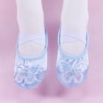 thumbnail image 3 of TFEOQRY Girls Satin Ballet Shoes with Sequin Embroidery Butterfly Decoration Soft Split Sole Elastic Straps Stage Dance Flats, 3 of 9