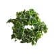 thumbnail image 1 of Corona de primavera, hojas artificiales, corona de pared, corona decorativa de hojas verdes para 35cm, 1 of 9