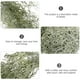 thumbnail image 3 of Musgo decorativo para micro paisajes, plantas de líquenes decorativos, musgo seco, musgo colgante, 3 of 8