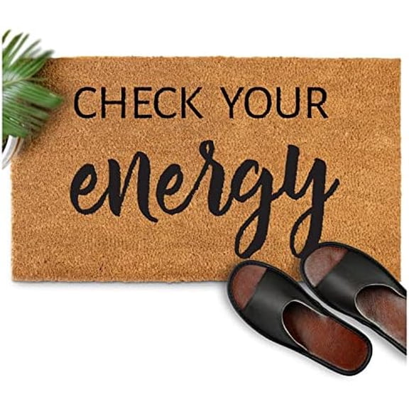 Check Your Energy Doormat Outdoor Entrance 16x24 Inch Funny Door Mat Outside Doormat.