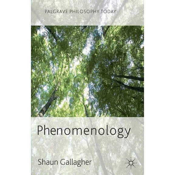 Palgrave Philosophy Today Phenomenology, (Paperback)