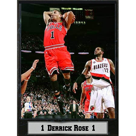 NBA Derrick Rose Photo Plaque, 9x12 (The Best Of Derrick Rose)